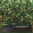 Placa De Grama Artificial 60x40 Para Jardim Vertical | Formos